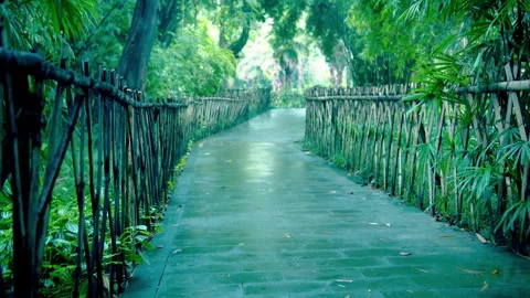 Quiet Bluestone Path Winding Through Lush Green Tropical Park After Rain Stock Footage 342015938