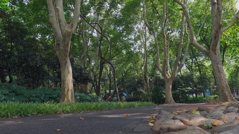 The quiet Boulevard in the park in summer Vídeos de archivo 124586203