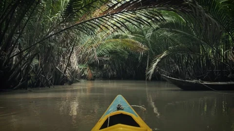 Quiet Canoe Excursion Through Mekong s Tropical Splendor  Vietnam 库存影片 265292572