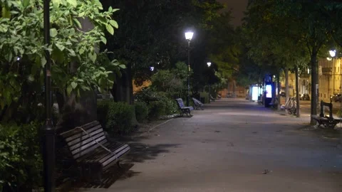 Quiet City Video stock 204850376