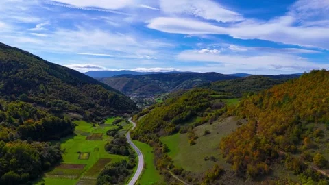 A Quiet Corner of Nature 库存影片 306034057