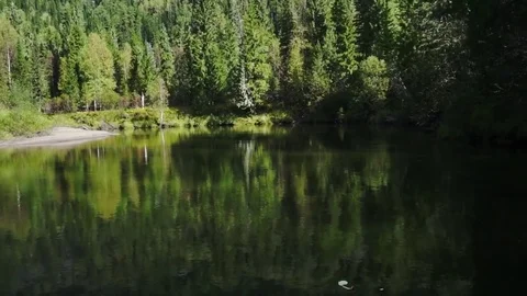 Quiet corners of Nichka river Stock Footage 81662721
