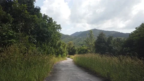Quiet Country path with flower fields, trees and hills Stock Footage 220909023