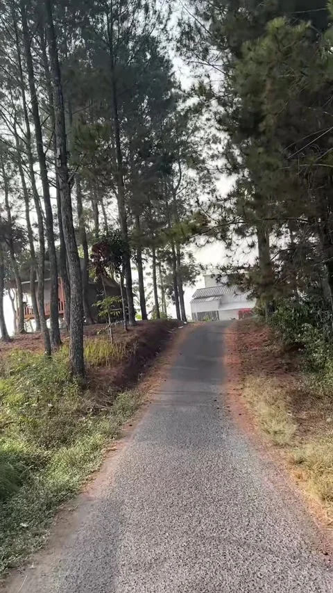 Quiet Countryside Road and Rustic Bamboo Fence in Cililin, West Bandung Stock-Footage 342335665