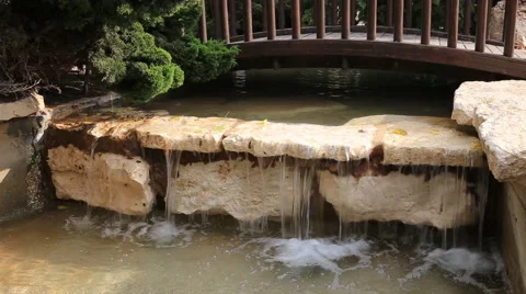 Quiet creek Stock Footage 42564769