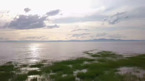 Quiet day by the lake 動画素材 136423885