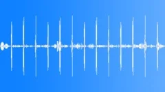 Quiet Daytime Forest Ambience Sound Effect