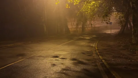 Quiet Descent: A Nighttime Journey Down the City's Alleys Stock Footage 264164035
