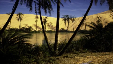 Quiet desert scene with reflective water and starlit dunes casting silhouettes Stock Footage 340665885