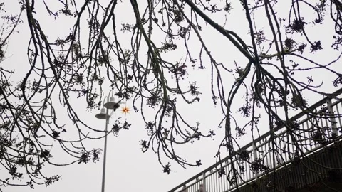 Quiet empty landscape, silent and barren surroundings stand still, calm and Stock Footage 322171201