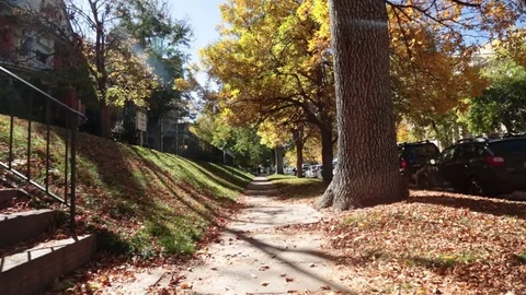 Quiet Fall Sidewalk Stock Footage 79900810