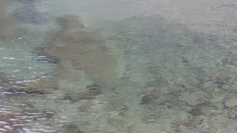 Quiet flow of water in the backwaters of a mountain river. Stock Footage 90495331