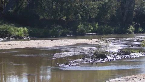 QUIET, FLOWING CREEK Stock Footage 140367750