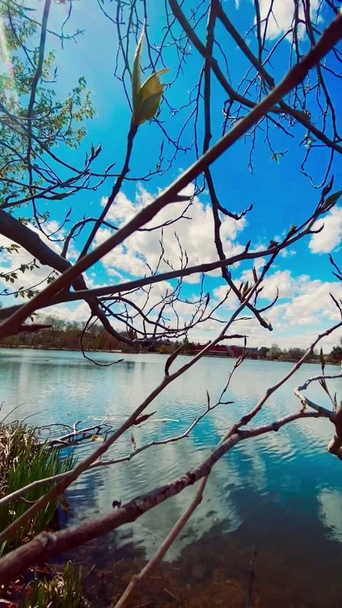 Quiet Stock Footage 183125869