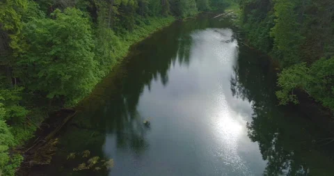 Quiet forest pond surrounded by many trees Stock Footage 155766153