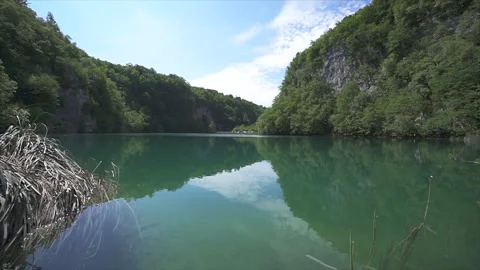 Quiet forest pond surrounded by moss and ferns in Plitvice Stock Footage 319773267