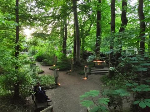 Quiet Forest Scene Foto stock