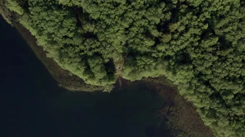 Quiet Forest Shoreline Borders Still And Shadowed Aquatic Landscape Stock Footage 329504331