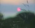 Quiet grassy hillside SD Footage