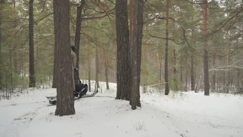 Quiet individual in gear navigates remote forest. Person wearing camouflage gear Stock Footage 332047445