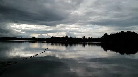 Quiet Lake in a Cloudy Day Stock-Footage 197604518
