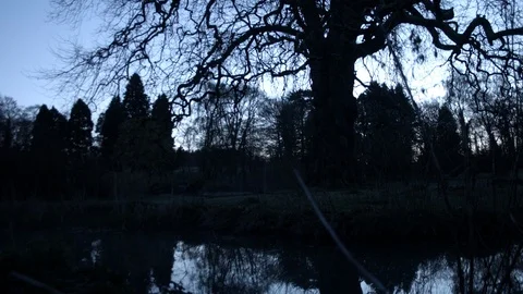 Quiet lake Stock Footage 86907569