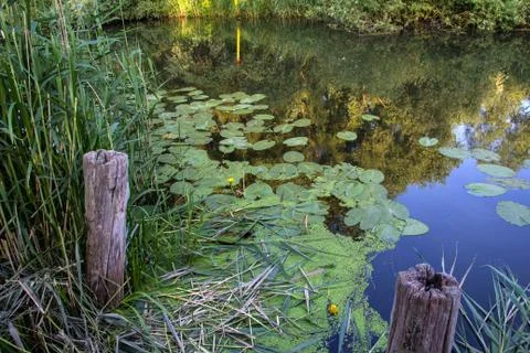 Quiet lake Stock Photos