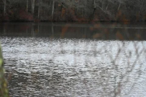A Quiet Lake Stock Photos