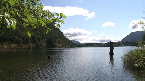 Quiet lake on a summer day Video stock 75210554