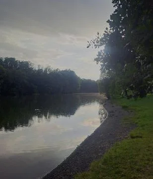 Quiet lake at sunset with tree reflections. Stock Photos