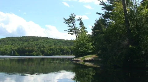 Quiet Lake with Trees in Forest Stock-Footage 462238