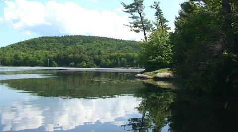 Quiet Lake with Trees in Forest Stock-Footage 462302