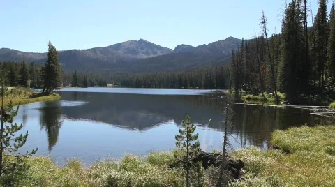 Quiet Lake with Trees in Forest Video stock 606482