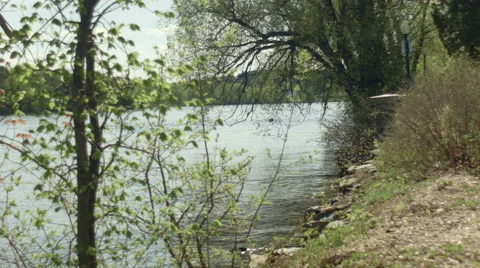Quiet lakeside tree in foreground speedboat in backgroud Stock Footage 55155363