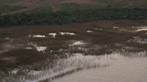 Quiet marsh during sunrise Video stock 167372334