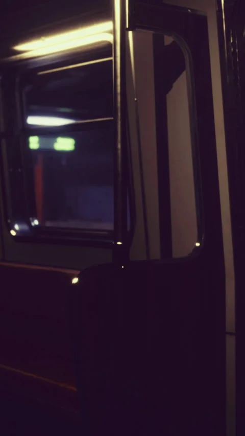 Quiet moments in an empty subway train during late night travels Stock Footage 334255048