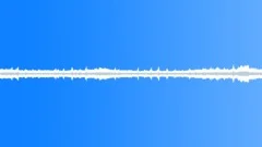 Quiet Morning Ambience, Sydney Australia, Birds, Frogs, Light Traffic, V2 Sound Effect