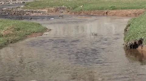 Quiet mountain river 2 Stock Footage 10817585