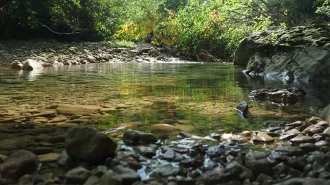 A quiet mountain river in the summer. rocky bottom, clear water. the beauty of Stock Footage