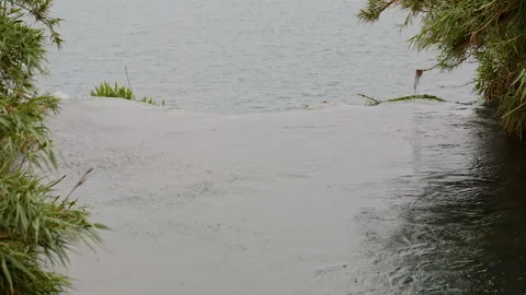 Quiet Mountain Stream Stock Footage 89962882