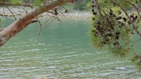 Quiet Mountain Stream Stock Footage 89963655