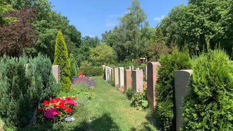 Quiet nature on the cemetery Stock Footage 112140343