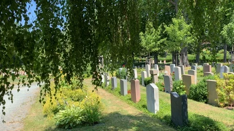 Quiet nature on the cemetery Stock Footage 112140379