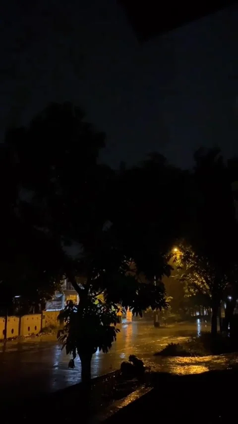 Quiet Night Rain with Streetlight Reflection Stock Footage 317292277