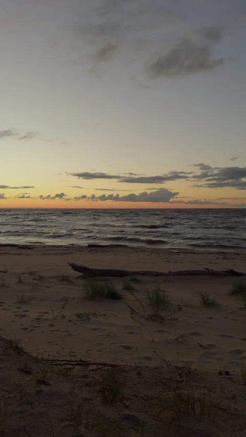 Quiet ocean sunset over sandy beach with gentle waves, driftwood, sparse grass Stock Footage 346558679
