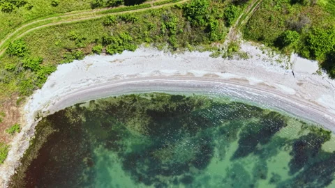 Quiet oceanfront setting highlighting lush foliage and stone shores. Tranquil Stock Footage 337906166
