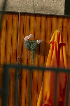 Quiet outdoor setting featuring pink hydrangea and resting umbrella Stock Photos