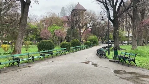 In a quiet park after the spring rain. Rainy weather, cloudy day. Stock Footage 237723114