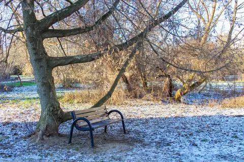 Quiet park bench under a tree in a winter landscape with frost Stock Photos