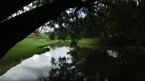 A Quiet Park in Cuenca with Ducks in a Pond Video stock 62183274